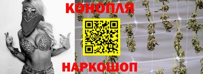 прущие грибы Северобайкальск