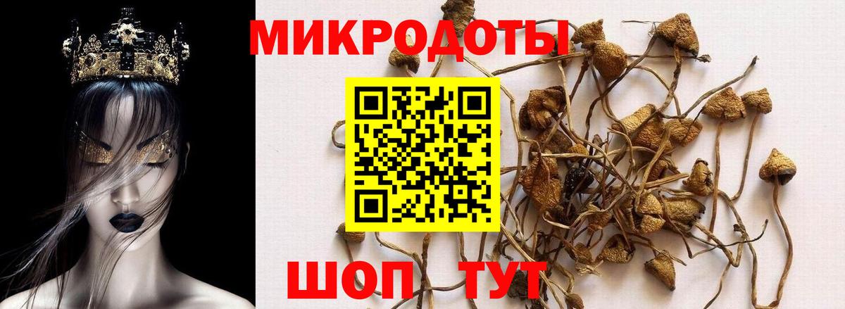 Псилоцибиновые грибы мухоморы Малгобек